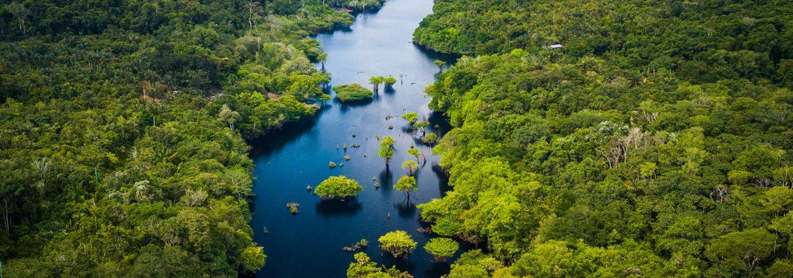 forêt amazonienne