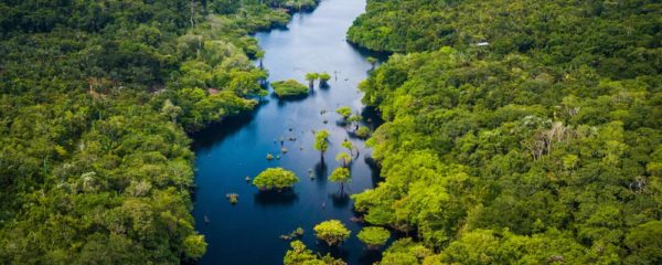 forêt amazonienne